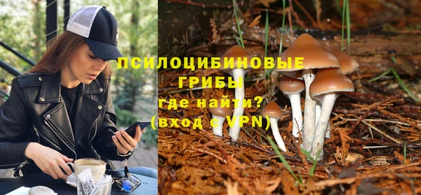 apvp Нефтекумск