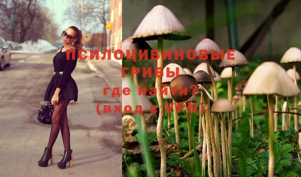 apvp Нефтекумск