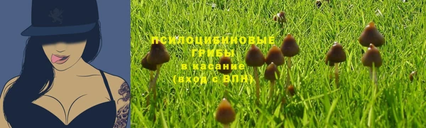 apvp Нефтекумск