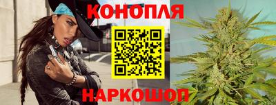 крисы Сланцы