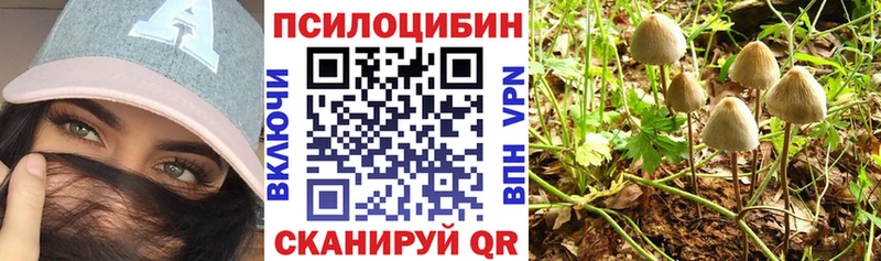 ОМГ ОМГ как войти  Южноуральск  Галлюциногенные грибы прущие грибы 