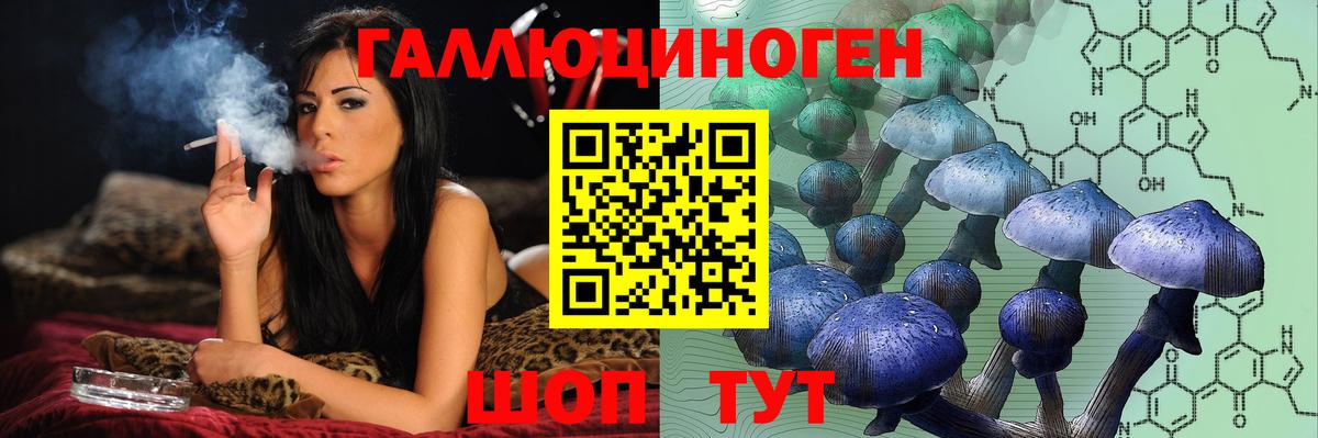 Псилоцибиновые грибы Psilocybine cubensis  Вход с VPN  Южноуральск 